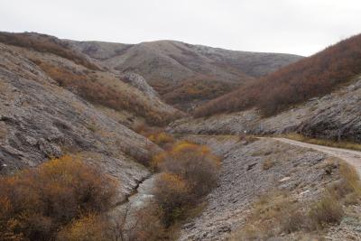 Прикрепленное изображение: A58DSC01770-1.jpg